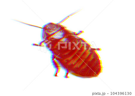 Huge madagascar hissing cockroach with glitch effect Huge madagascar hissing cockroach with glitch effect 104396130