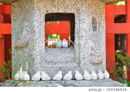三宅八幡宮の鳩（京都市左京区上高野） 104396626
