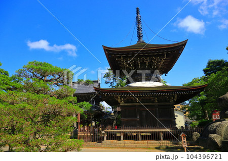 【京都府】新緑の智恩寺の多宝塔と三門（黄金閣） 104396721