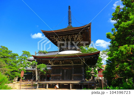 【京都府】新緑の智恩寺の多宝塔と三門（黄金閣） 104396723