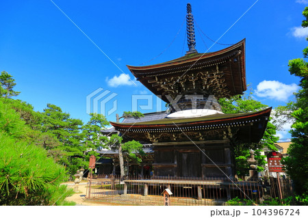 【京都府】新緑の智恩寺の多宝塔と三門（黄金閣） 104396724