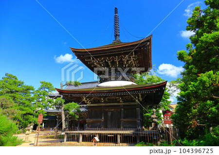 【京都府】新緑の智恩寺の多宝塔と三門（黄金閣） 104396725