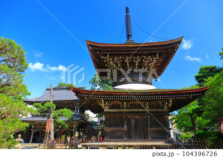 【京都府】新緑の智恩寺の多宝塔と三門（黄金閣） 104396726