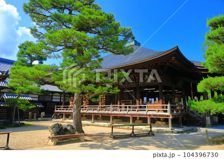 【京都府】新緑の智恩寺の文殊堂 104396730