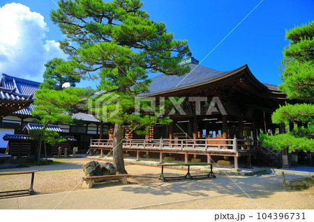 【京都府】新緑の智恩寺の文殊堂 【京都府】新緑の智恩寺の文殊堂 104396731