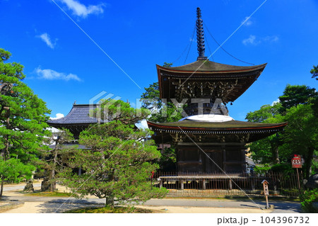 【京都府】新緑の智恩寺の多宝塔と三門（黄金閣） 104396732
