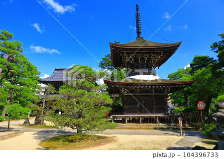【京都府】新緑の智恩寺の多宝塔と三門（黄金閣） 104396733