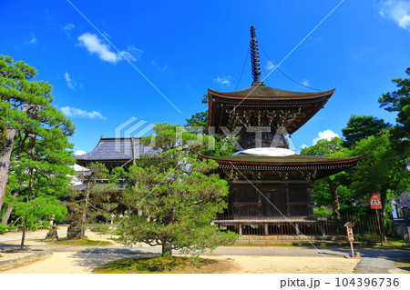 【京都府】新緑の智恩寺の多宝塔と三門（黄金閣） 104396736