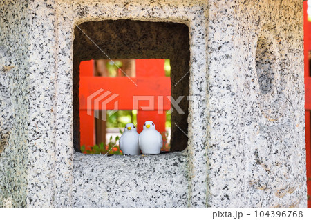 三宅八幡宮の鳩（京都市左京区上高野） 104396768