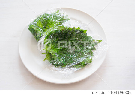 ラップに包んで作る青じその塩漬け 104396806