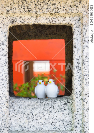 三宅八幡宮の鳩(京都市左京区上高野) 三宅八幡宮の鳩(京都市左京区上高野) 104396985