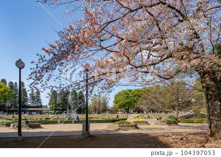 東京都世田谷区池尻、世田谷公園の噴水広場 東京都世田谷区池尻、世田谷公園の噴水広場 104397053