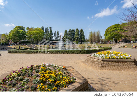 東京都世田谷区池尻、世田谷公園の噴水広場 104397054