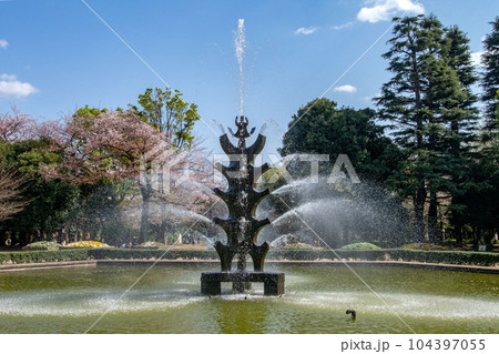 東京都世田谷区池尻、世田谷公園の噴水広場 東京都世田谷区池尻、世田谷公園の噴水広場 104397055