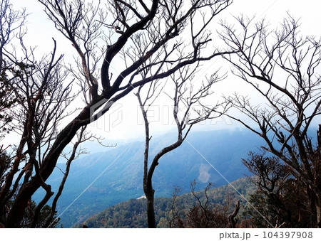 万二郎岳 霧の山頂風景 万二郎岳 霧の山頂風景 104397908
