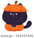 Halloween cat 104397946