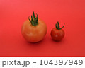 新鮮採りたてミニトマト 104397949