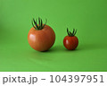 新鮮採りたてミニトマト 104397951
