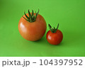 新鮮採りたてミニトマト 104397952