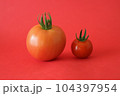 新鮮採りたてミニトマト 104397954