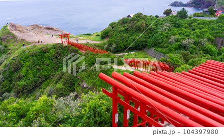 赤い鳥居が並ぶ元乃隅神社 104397980