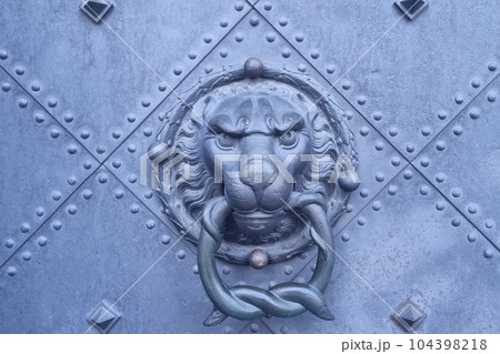 View of the iron doors with a handle. 104398218