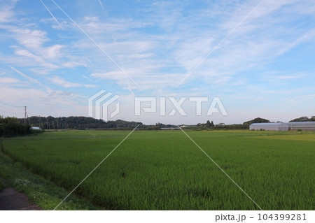 水田と空 水田と空 104399281