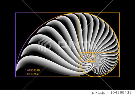 Fibonacci Sequence Golden ratio. Geometric shapes spiral. Snail spiral. Sea shell of white circles. Sacred geometry logo template. Vector isolated on black background 104399435