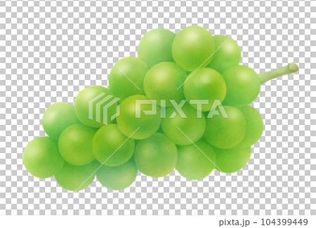 おいしい白ブドウの水彩イラスト　甘くてフレッシュな季節のフルーツ 104399449