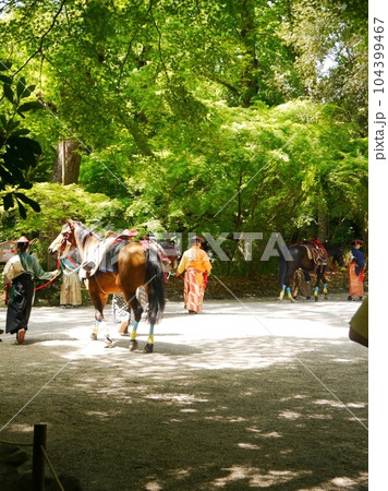 光と緑に包まれる馬と人々 光と緑に包まれる馬と人々 104399467