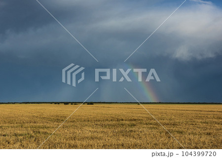 Threatening storm clouds, Pampas, Patagonia, Argentina 104399720