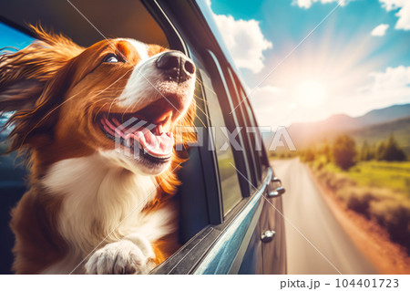Brown and white dog sticking its head out of the window of car. Generative AI 104401723