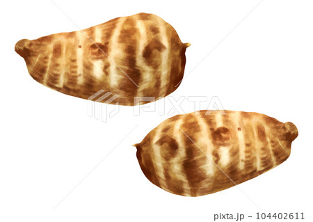 海老芋 海老芋 104402611