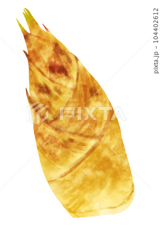 京たけのこ 京たけのこ 104402612