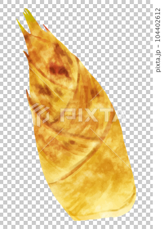 Kyoto bamboo shoots 104402612