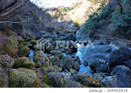 袋田の滝 ふくろだのたき 四度の滝 渓流 堆積岩 袋田の滝 ふくろだのたき 四度の滝 渓流 堆積岩 104402614