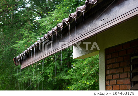 Low angle view of rain water flowing down from the eaves of a house. 104403179