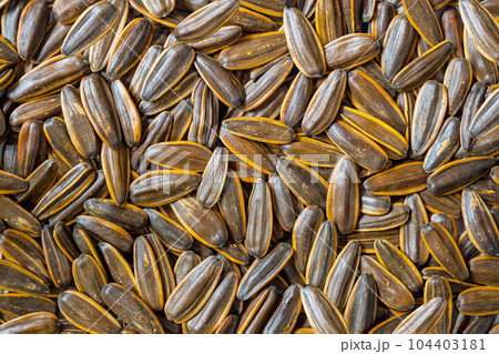 Top view pile of organic salted delicious sunflower seeds. Top view pile of organic salted delicious sunflower seeds. 104403181