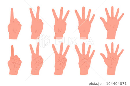 Cartoon counting hands gestures. Human palms with count from one to five gestures, hands with countdown gesture flat vector illustration set Cartoon counting hands gestures. Human palms with count from one to five gestures, hands with countdown gesture flat vector illustration set 104404071