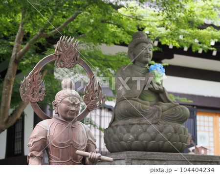 鎌倉 長谷寺 仏像 鎌倉 長谷寺 仏像 104404234