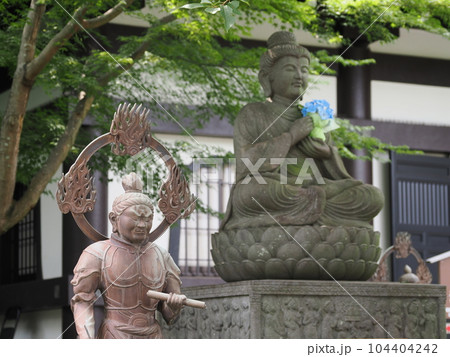 鎌倉 長谷寺 仏像 鎌倉 長谷寺 仏像 104404242