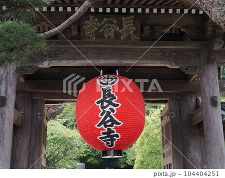 鎌倉 長谷寺 山門 鎌倉 長谷寺 山門 104404251