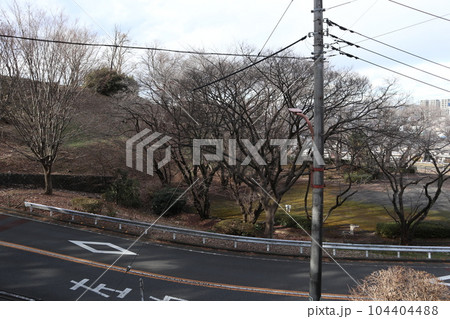 聖蹟桜ヶ丘 街並み 104404488