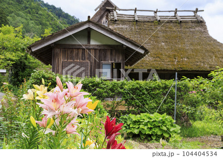 あじさい咲く初夏の美山かやぶきの里 あじさい咲く初夏の美山かやぶきの里 104404534