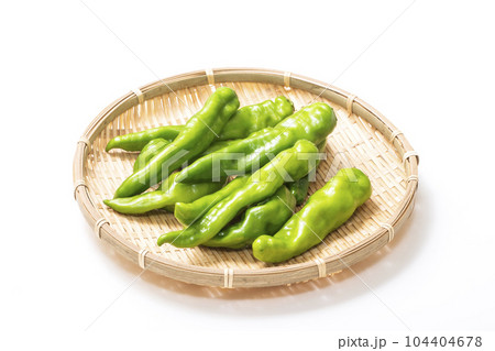 甘とう美人 甘長唐辛子 夏野菜 健康野菜 甘とう美人 甘長唐辛子 夏野菜 健康野菜 104404678