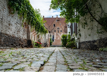 Empty Cobblestone street or laneway in the Groot Begijnhof, the large beguinage of the medieval city 104405033