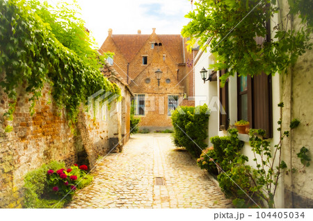 Empty Cobblestone street or laneway in the Groot Begijnhof, the large beguinage of the medieval city 104405034