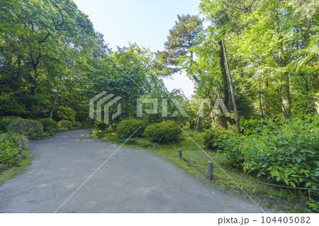 京都　平安神宮　神苑　南神苑　新緑の季節 104405082