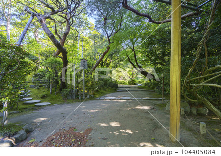 京都　平安神宮　西神苑　澄心亭　新緑の季節 104405084
