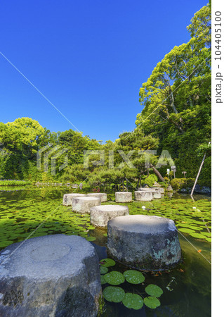 京都 平安神宮 中神苑 臥龍橋 新緑の季節 京都 平安神宮 中神苑 臥龍橋 新緑の季節 104405100